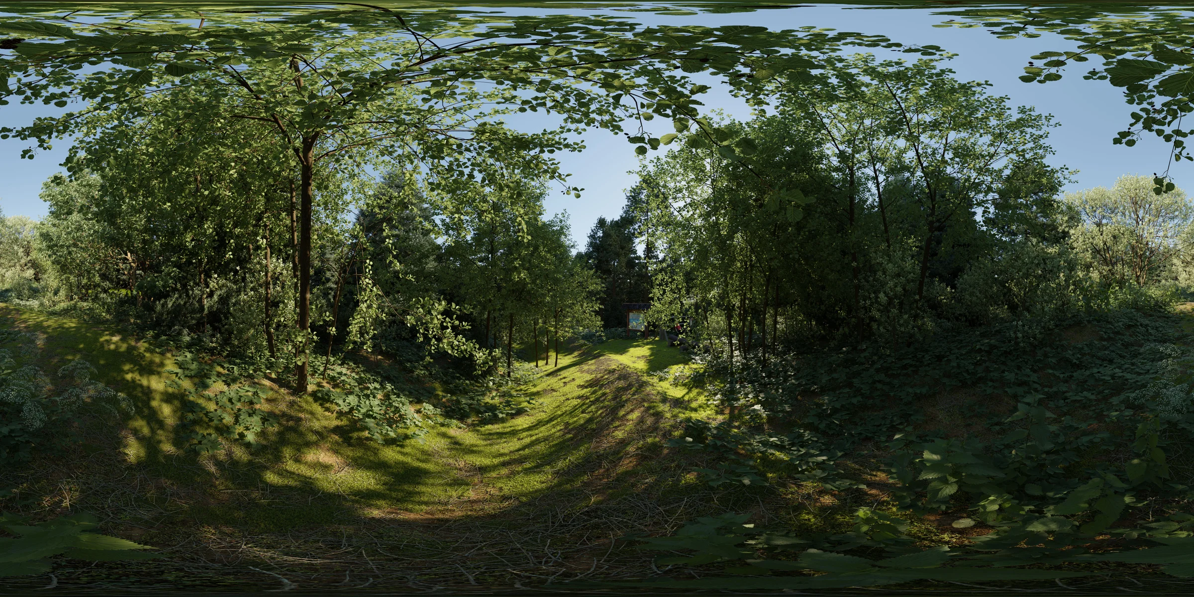 360-asthmalehrpfad